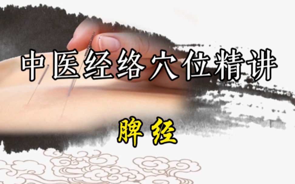 中医经络穴位精讲教学视频【脾经】