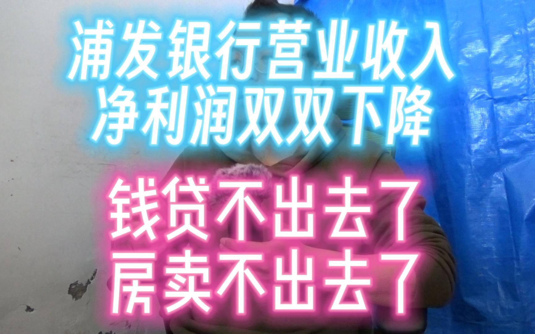 浦发银行营收净利润双双下滑;钱贷不出去了,房卖不出去了哔哩哔哩bilibili