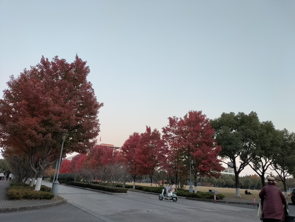 苏州大学独墅湖校区初冬的风景真好看