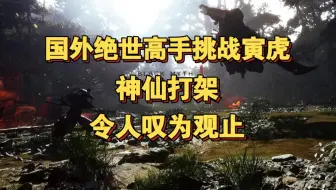 国外超强高手挑战寅虎，简直神仙打架，令人叹为观止