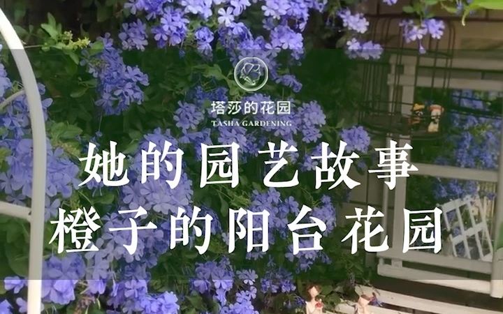 她的园艺故事——橙子的阳台花园哔哩哔哩bilibili