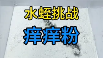 把水蛭丢进锋利的痒痒粉里，水蛭会感到瘙痒吗？水蛭：万箭穿心！