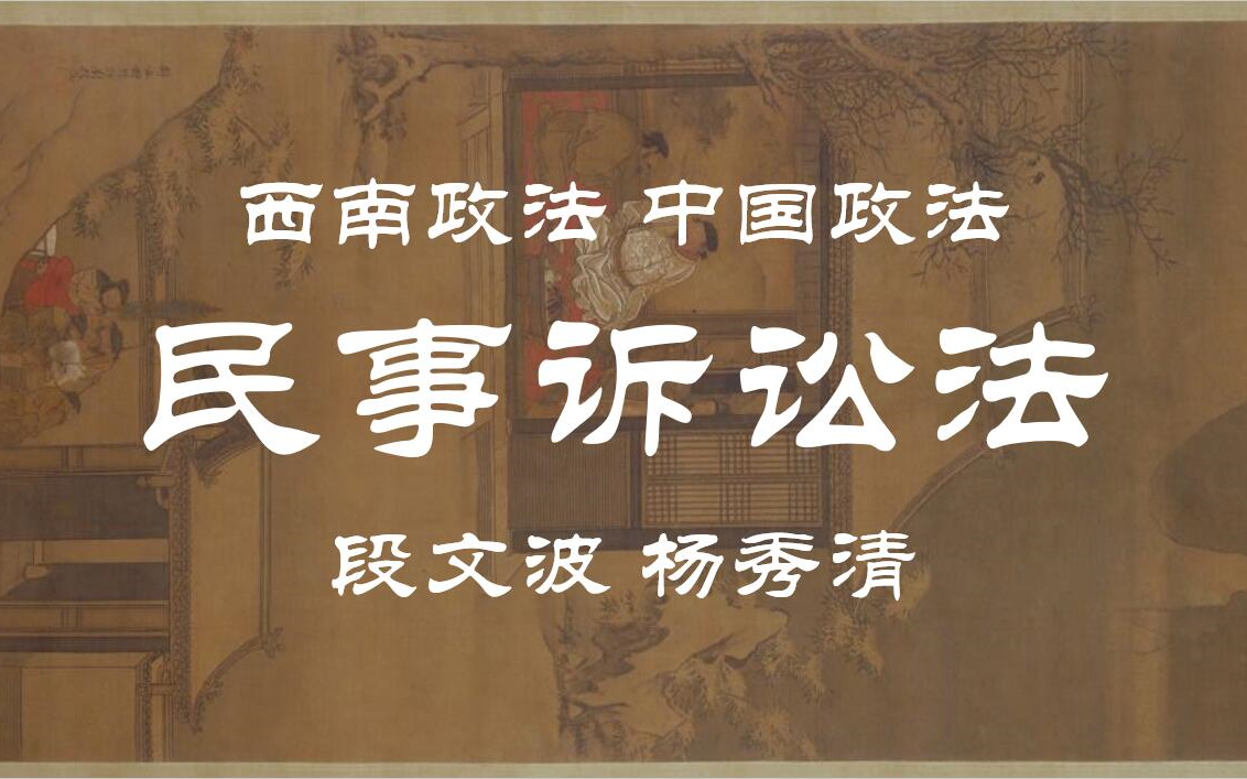 【西南政法|中国政法】民事诉讼法 段文波 杨秀清(全144讲)哔哩哔哩bilibili