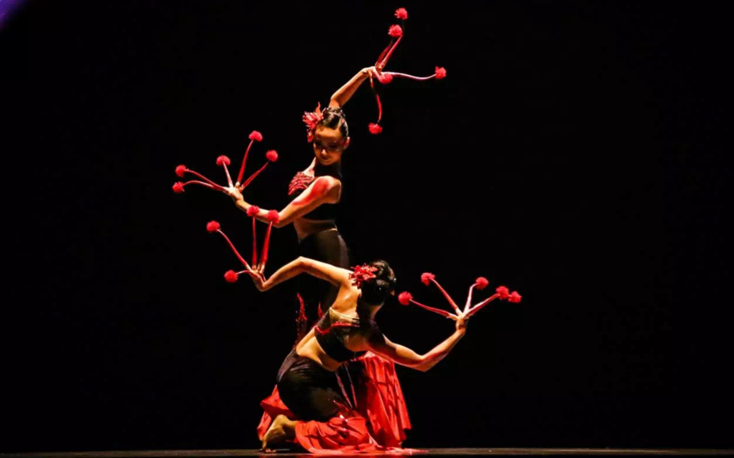 【傣族长甲舞】《曼珠沙华》殷红妖冶,凄丽宛然