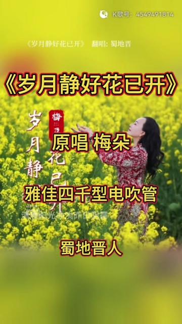 电吹管演奏《岁月静好花已开》