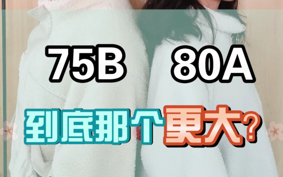 75B和80A哪个更大?!看完全懂了!哔哩哔哩bilibili