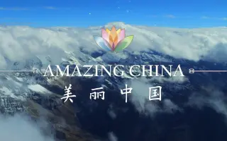 英语纪录片 搜索结果 哔哩哔哩 Bilibili