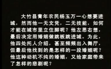 [图]破碎的城市梦___【纪录片】中国西部刑侦重案纪实全集