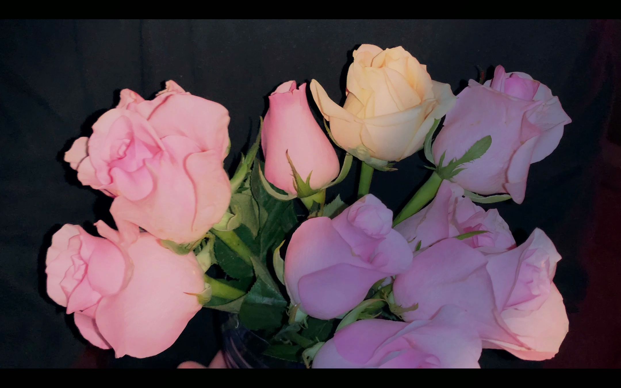 什么?你还没收到过玫瑰——博尔赫斯