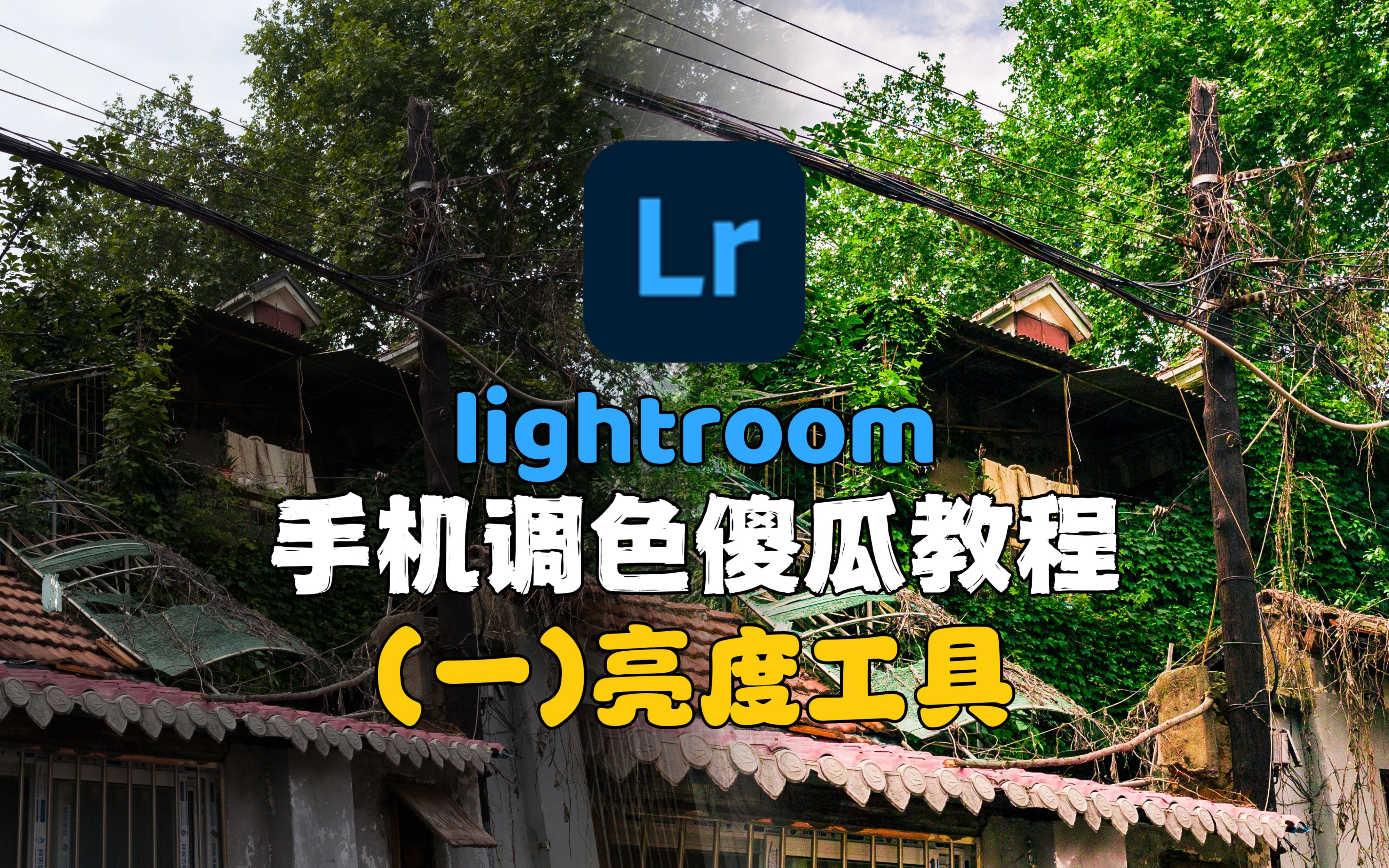 [图]【添点本事】LR手机调色傻瓜教程（一）亮度工具 | 认识直方图 | 技巧分享