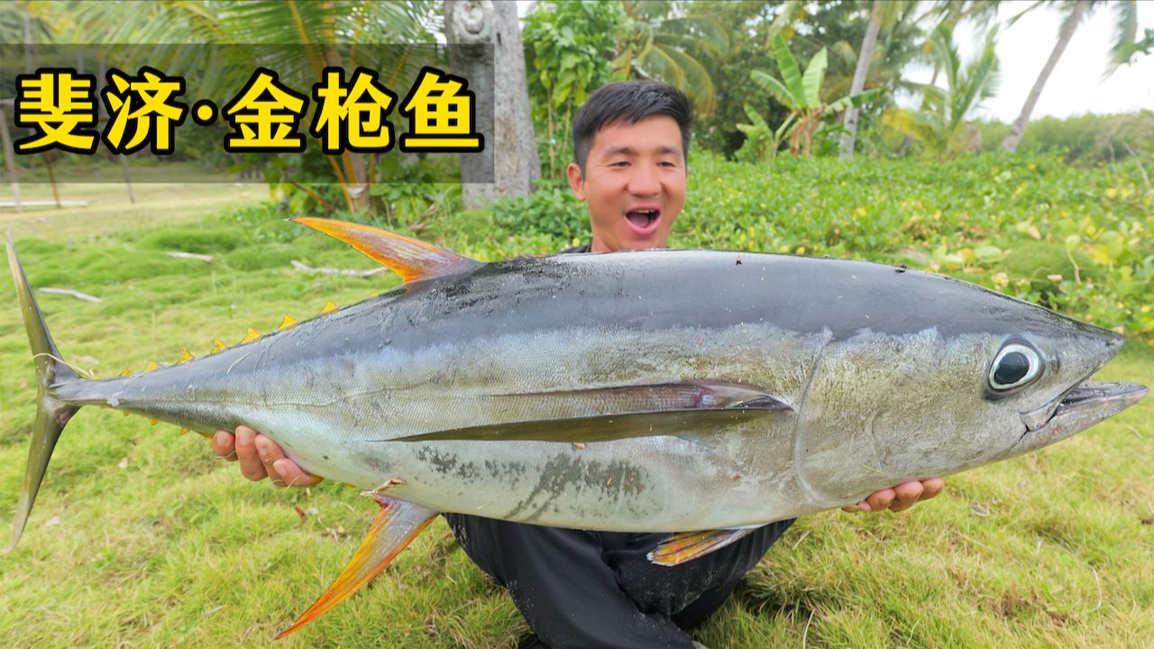 3天2晚深入斐济赶海，只为挑战米级大马鲛，途中竟意外闯入金枪鱼大规模觅食！