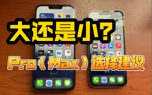 Download Video: Pro还是Pro Max？iPhone Pro系列选择建议