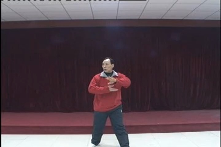 张志俊先生邯郸市陈式太极拳高级培训班04