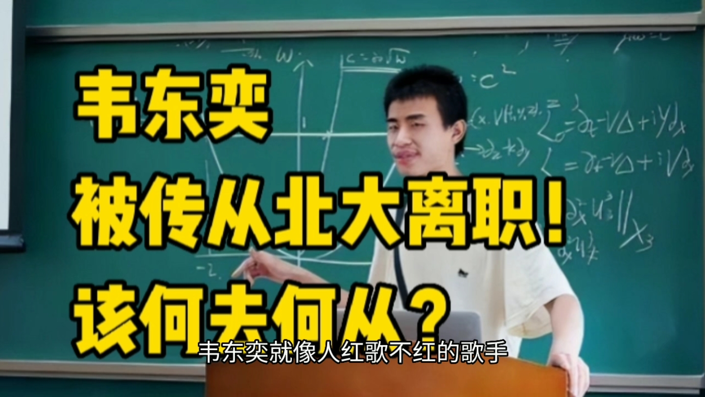 韦东奕被传从北大离职!如离开,留学还是拜师丘成桐?哔哩哔哩bilibili