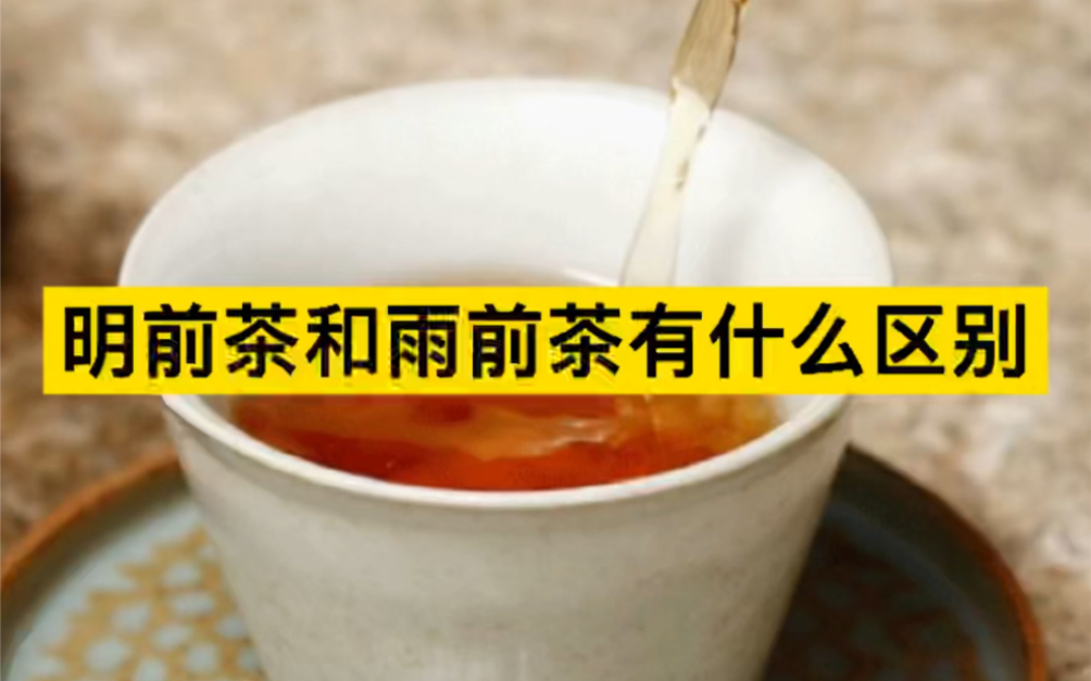 [图]明前茶和雨前茶的区别