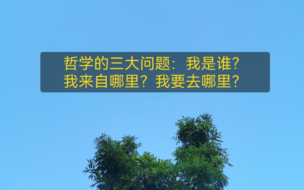 哲学的三大问题:我是谁?我来自哪里?我要去哪里?哔哩哔哩bilibili