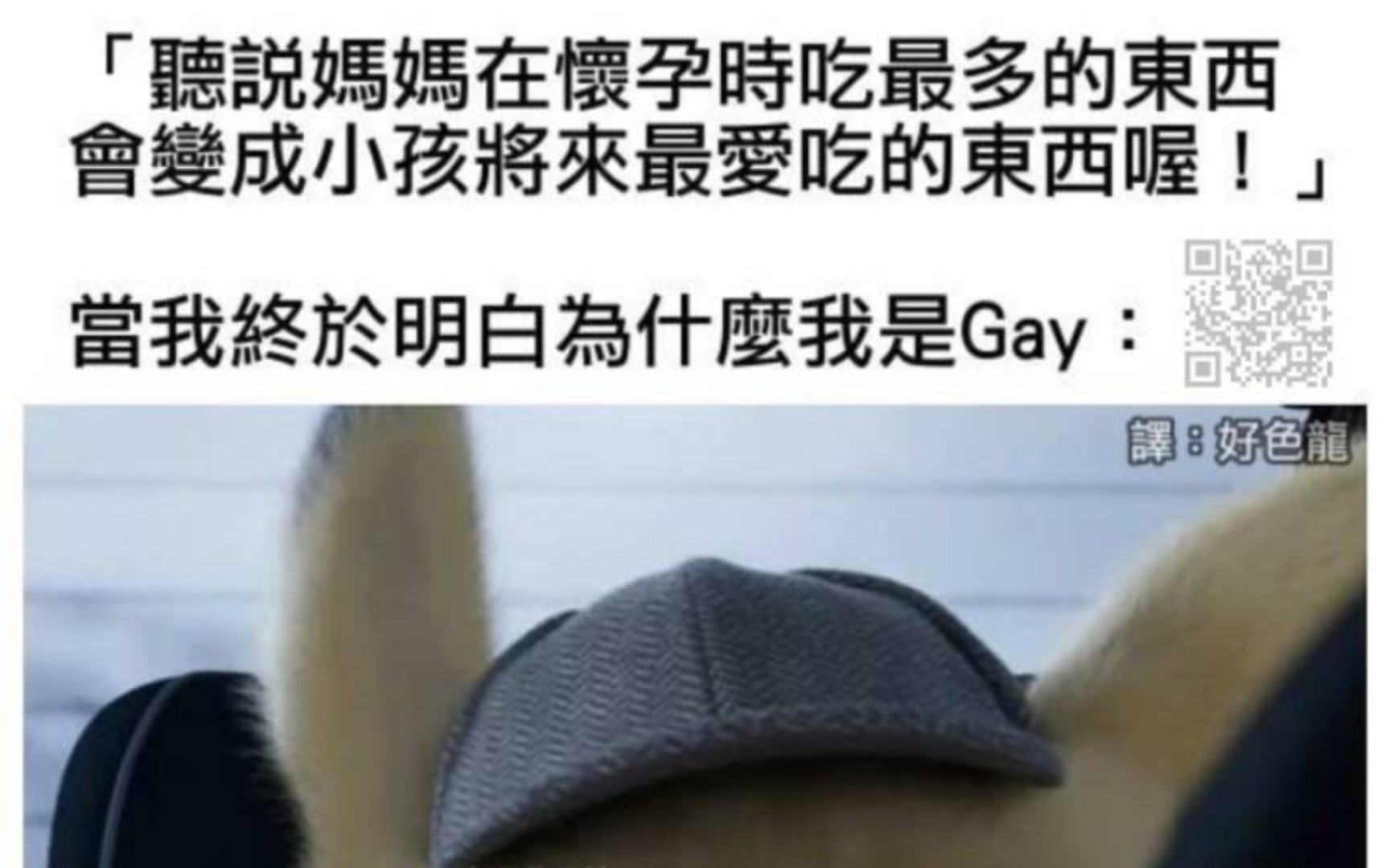 [图]《沙雕网图》（22）gay是怎么产生的