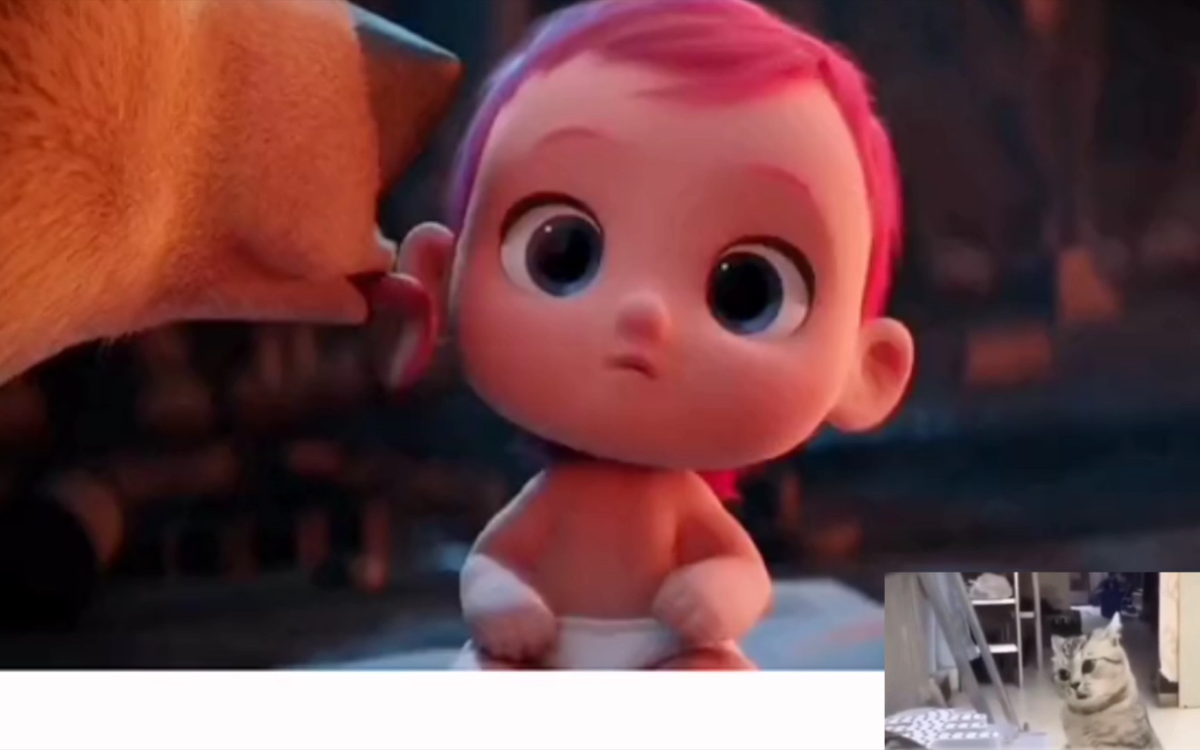 活动作品逗鸟外传萌宝满天飞逗鸟萌宝狼口脱险