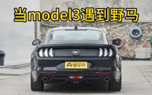 下载视频: Model3大战野马