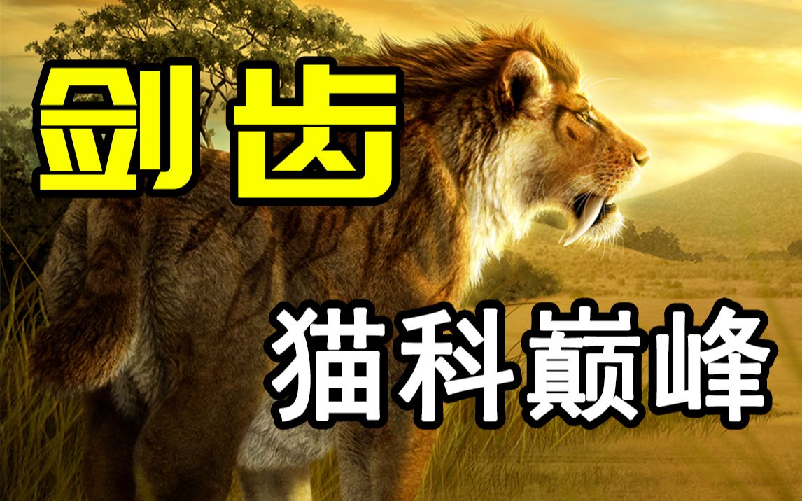 [图]谁能不喜欢这样的大猫呢？猫科动物的巅峰之作剑齿王朝！