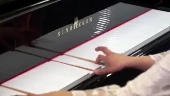 全世界独一无二没有黑键的钢琴