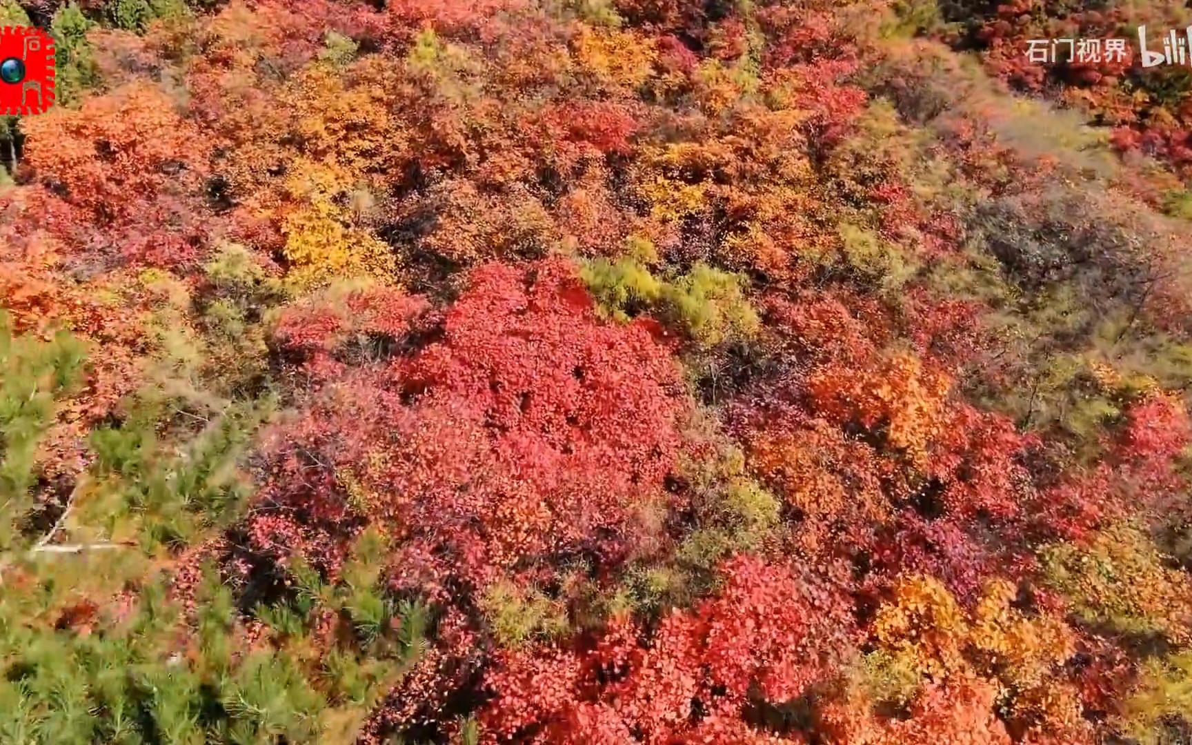 [图]河北太行山脉层林尽染秋意浓 美景如画