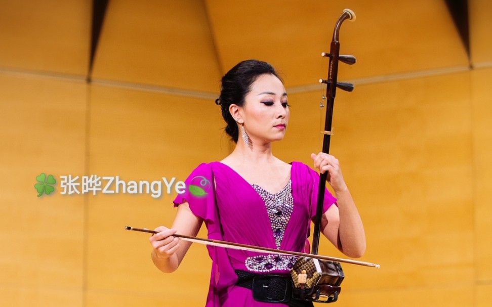 张晔二胡枫之舞精彩片段