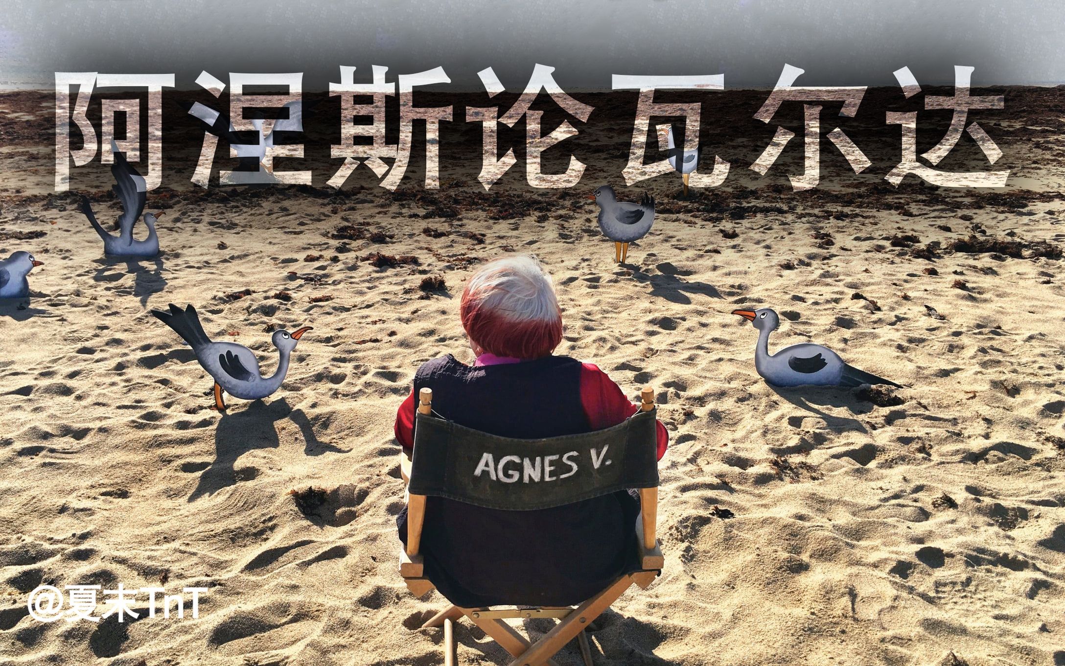 阿涅斯论瓦尔达 中文字幕 Varda par Agn㨳哔哩哔哩bilibili