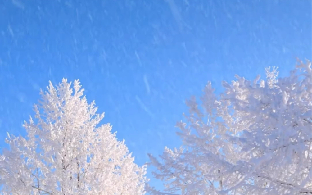 望着天下起了雪哔哩哔哩bilibili