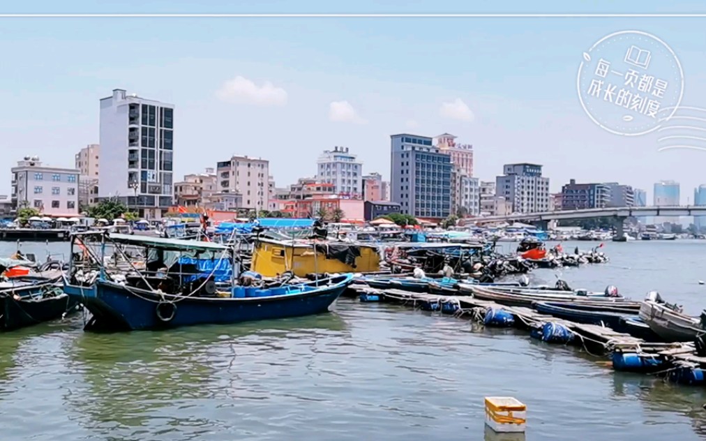 繁忙的惠东港口镇渔村