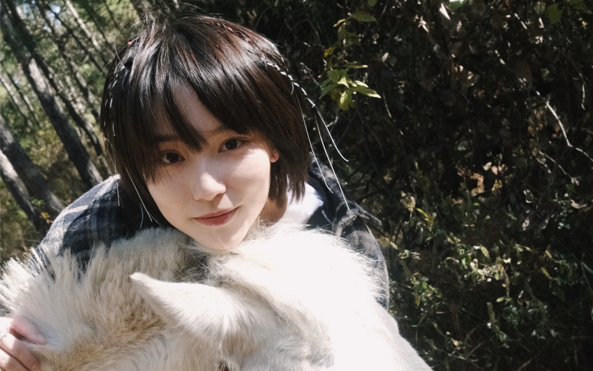 【成果/犬来八荒】成果与她的小辫子_哔哩哔哩_bilibili