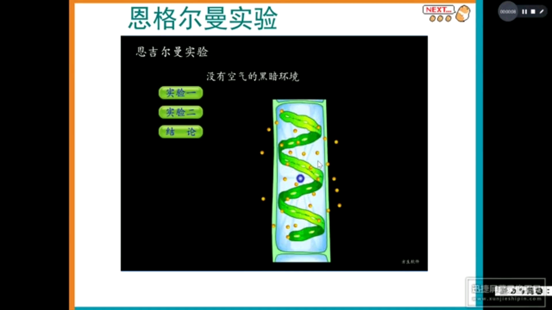 恩格尔曼实验老师讲解视频