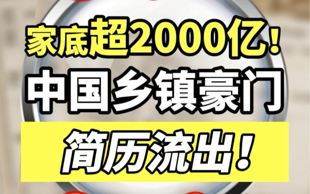 猛料!这个家底超2000亿的中国乡镇“豪门”简历流出,简直太……了!哔哩哔哩bilibili