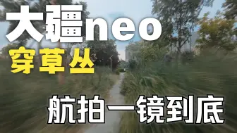 下载视频: DJI大疆neo一镜到底——傍晚穿草丛【neo榨干计划】