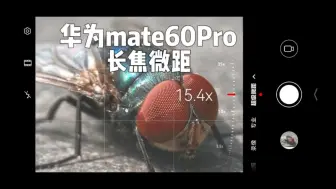 Download Video: 华为mate60Pro超级微距—简单拍个苍蝇！