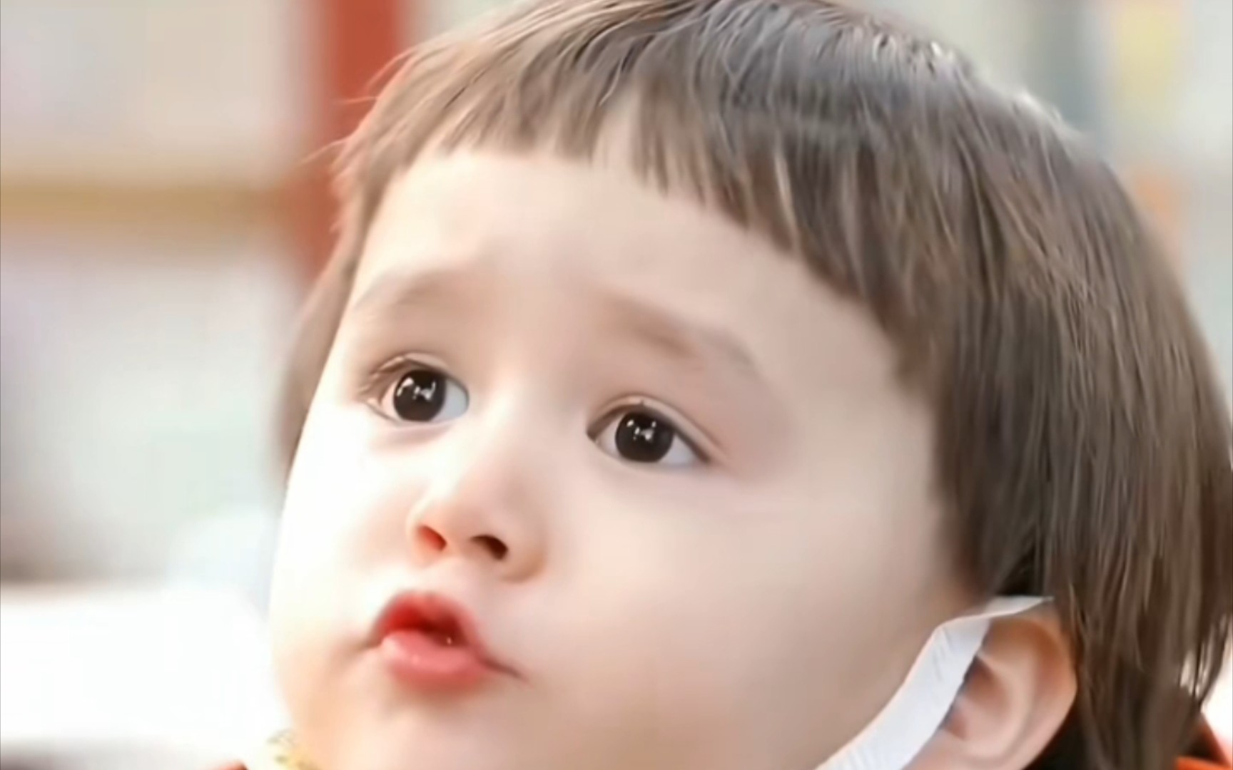 【威本联盟】是爱笑的本本啦,姨母的本特利呀