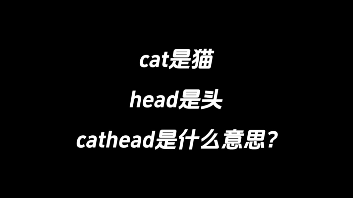 cat是猫,head是头,cathead是什么意思?哔哩哔哩bilibili