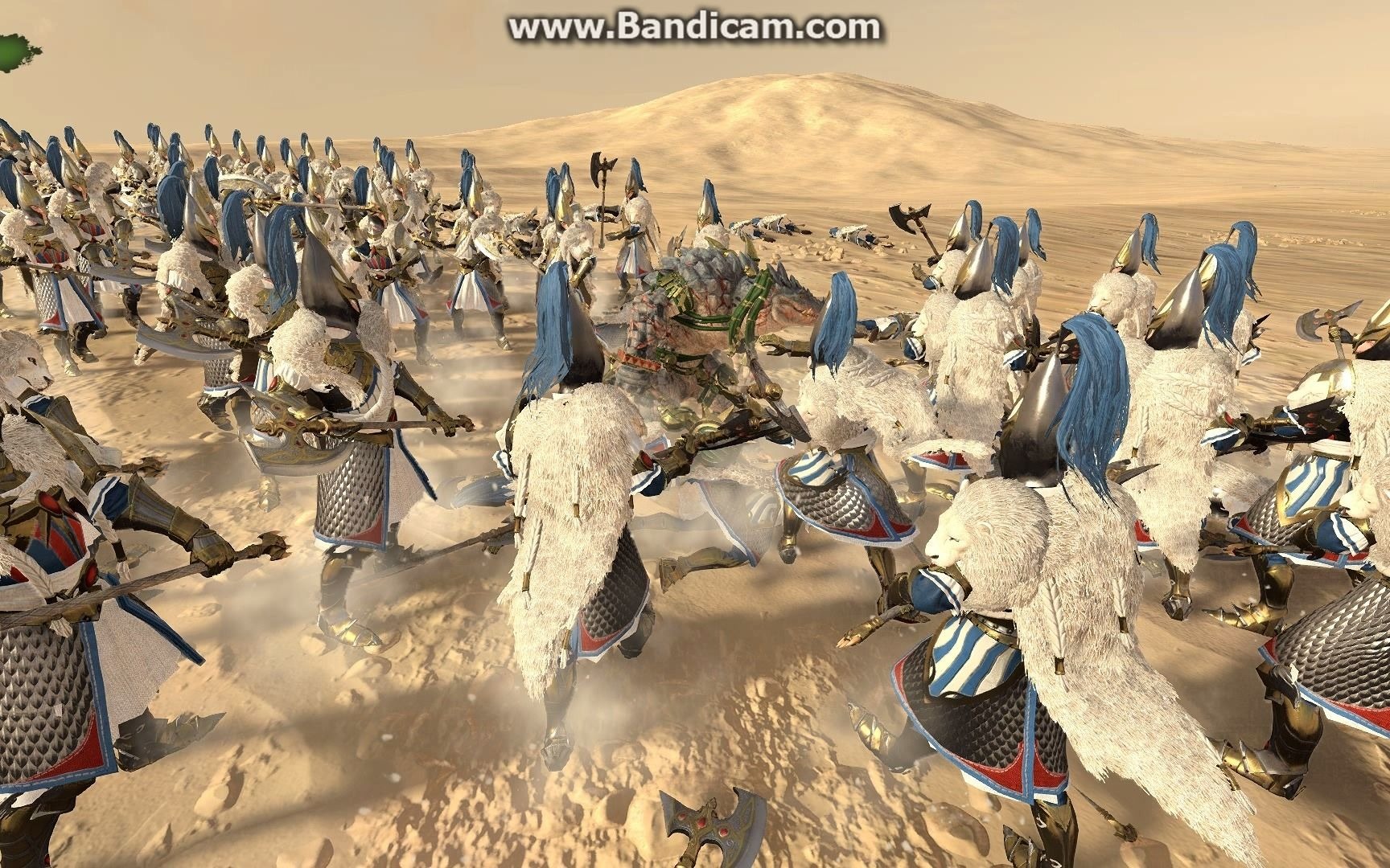 幼年纳卡伊vs白狮禁卫