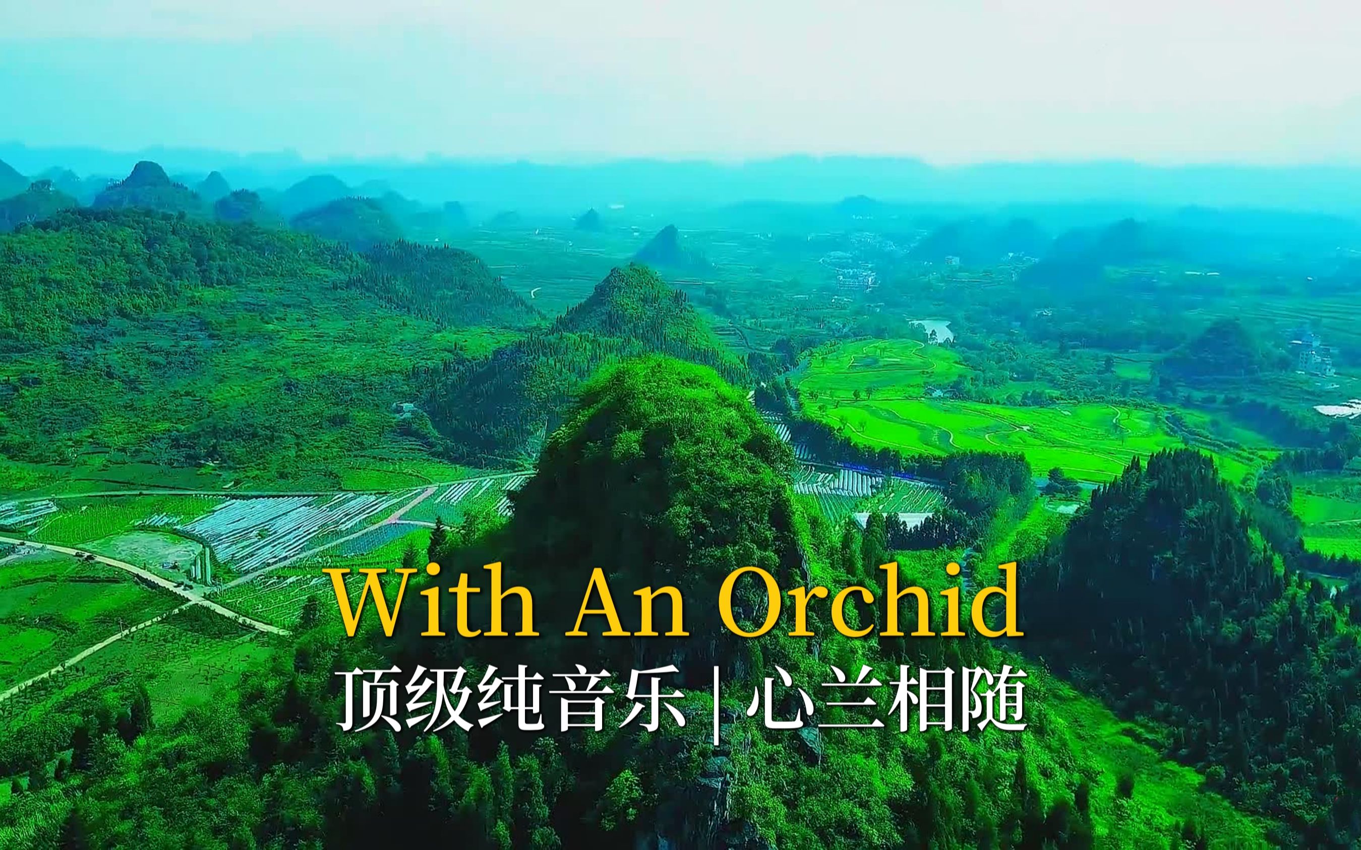 举世闻名的古典纯音乐《With An Orchid》音律洁净高雅,摆脱凡尘哔哩哔哩bilibili