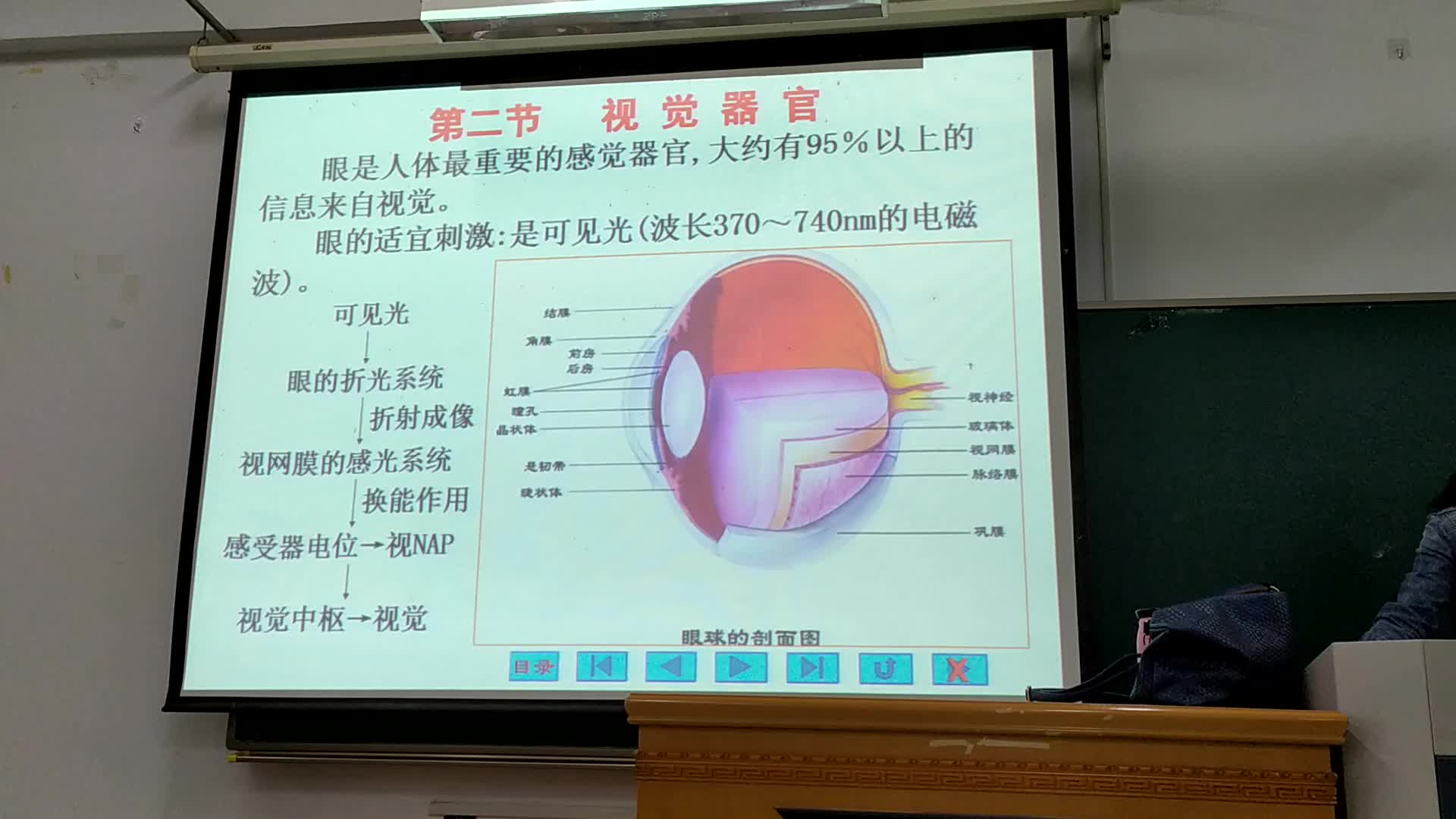 生理神经第二节视觉器官哔哩哔哩bilibili