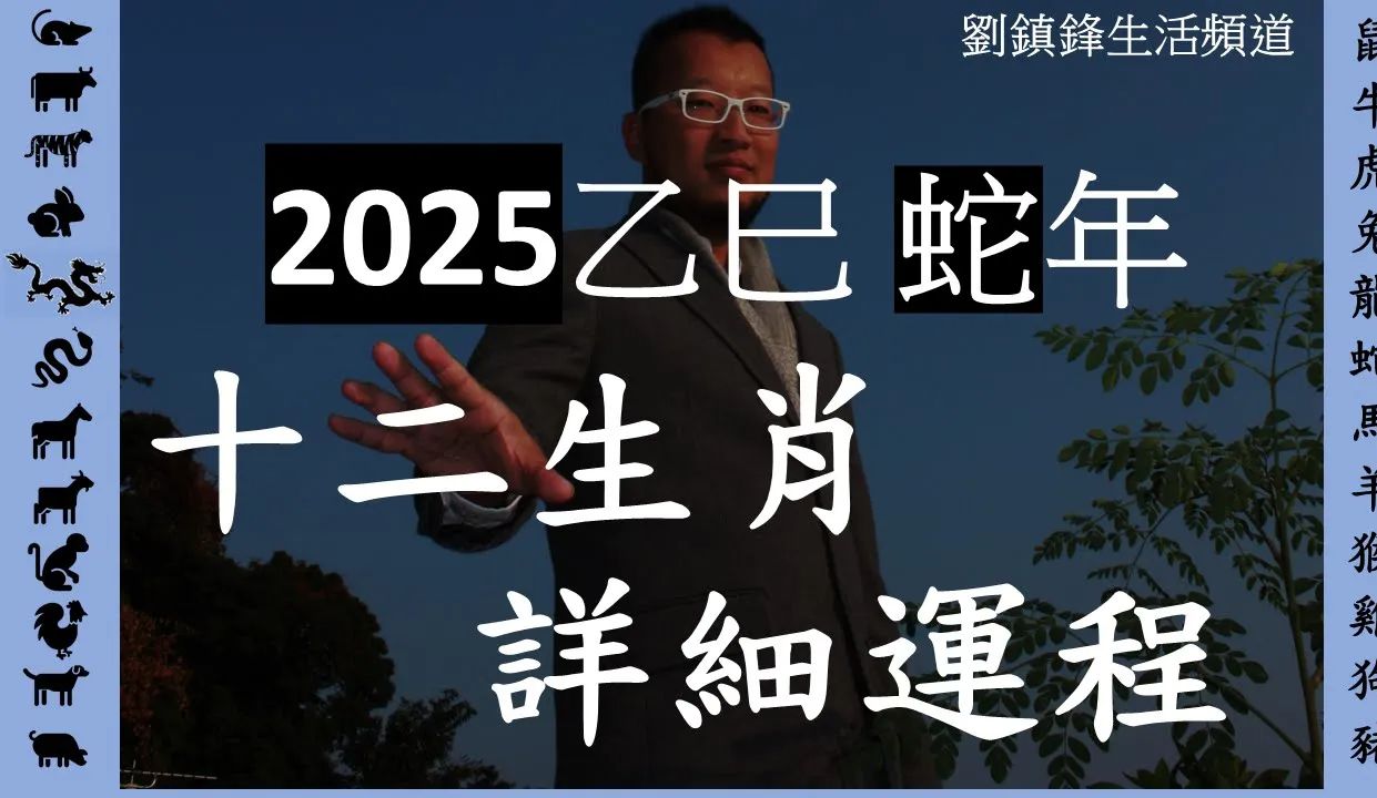 2025年乙巳蛇年十二生肖运势 | 超详细分年龄段分析及注意事项!干货收藏!哔哩哔哩bilibili