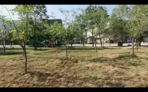 Video herunterladen: “我问师傅，师傅，对学习应该有怎样的态度？”🌱🌱🌱🌱 师傅答曰：“学习本身就是一种态度！”🌹🌹🌹🌹