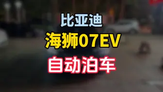 Download Video: 海狮07EV的自动泊车功能，大家觉得能站稳第一梯队吗？