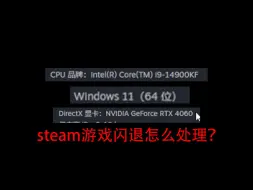 Download Video: 【提问】steam游戏闪退怎么办，求大佬解答