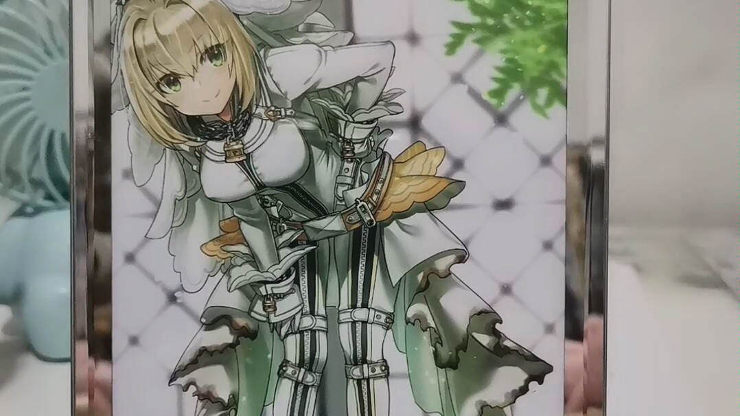 saber,婚纱,黑贞德