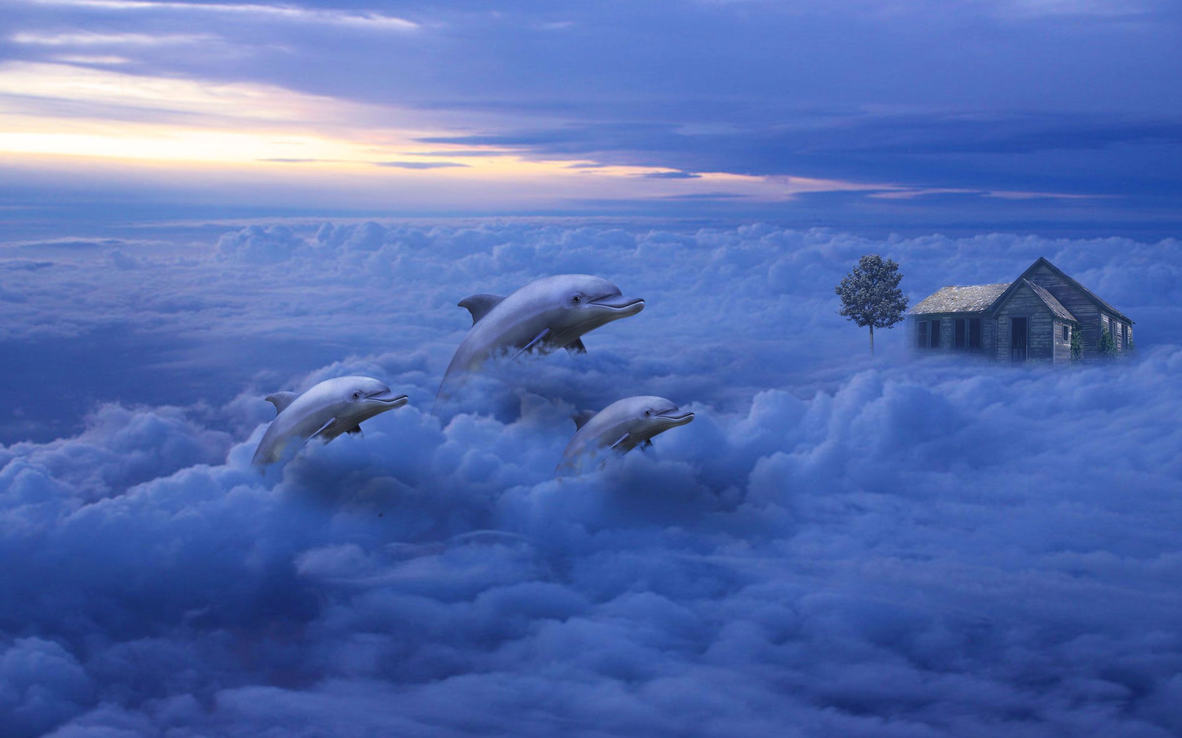 【ps教程】云端上的海豚合成图_哔哩哔哩_bilibili