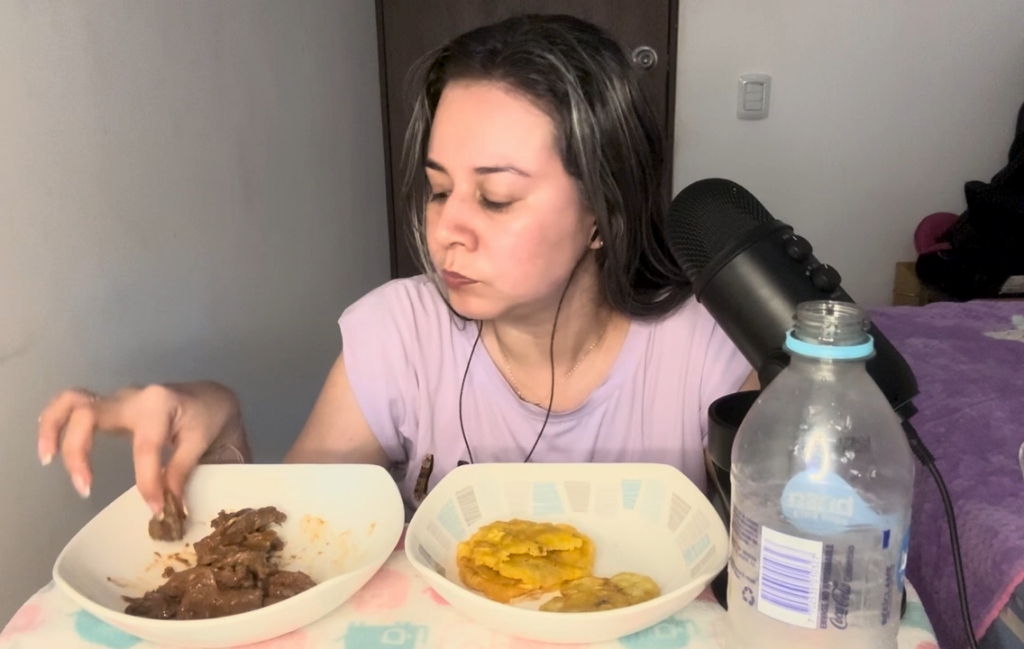 吃烤肉ASMR comiendo patacones con carne video con sub coreanos para哔哩哔哩bilibili