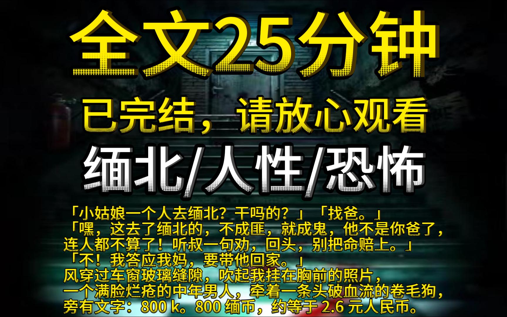 [图]【已完结】「小姑娘一个人去缅北？干吗的？」「找爸。」「嘿，这去了缅北的，不成匪，就成鬼，他不是你爸了，连人都不算了！听叔一句劝，回头，别把命赔上。」……