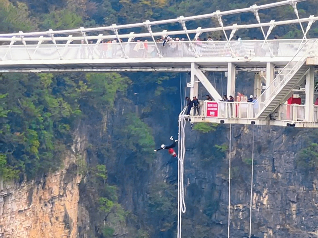这蹦极太高啦,请原谅我的呐喊