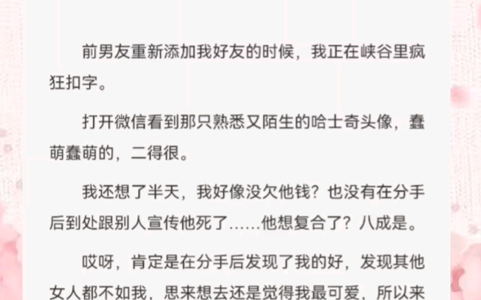 前男友重新添加我好友的时候,我正在峡谷里疯狂扣字.打开微信看到那只熟悉又陌生的哈士奇头像,蠢萌蠢萌的,二得很.我好像没欠他钱?也没有在分手...